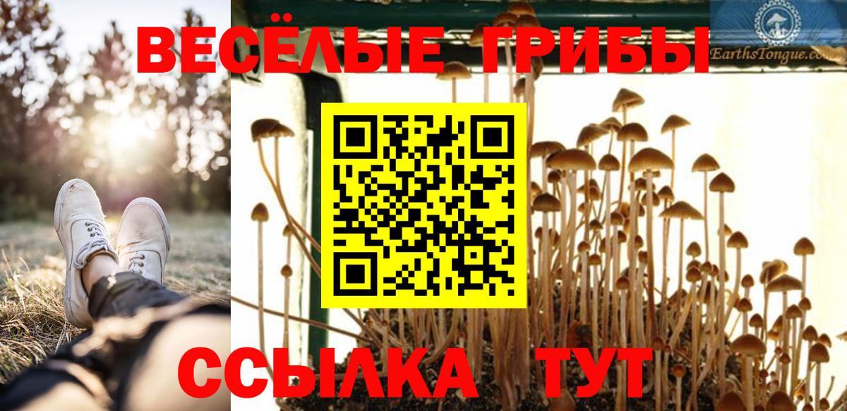 Псилоцибиновые грибы Psilocybine cubensis Новочебоксарск