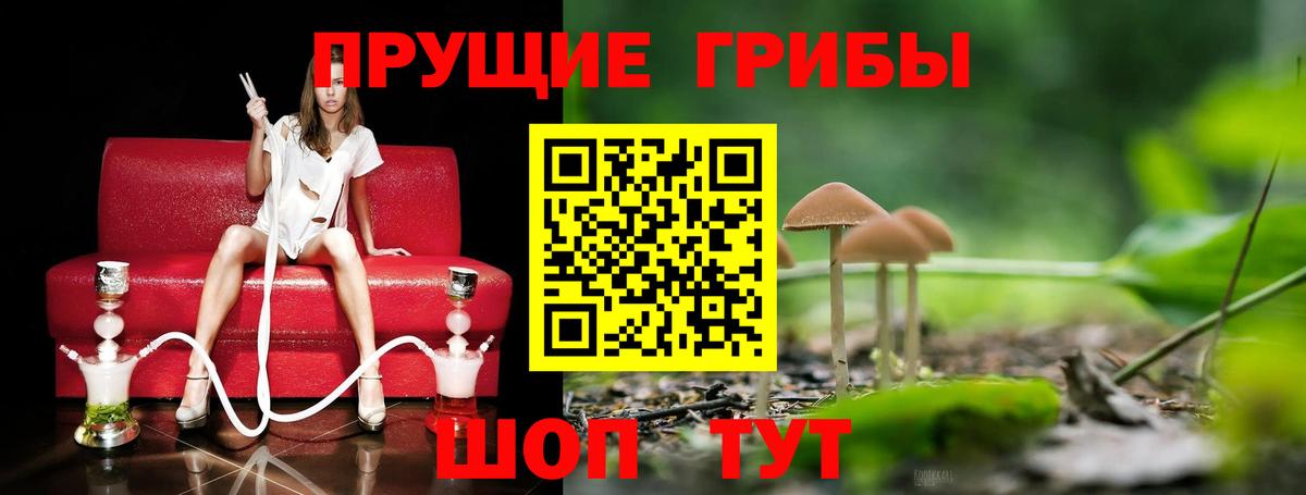 Новочебоксарск  Псилоцибиновые грибы Psilocybine cubensis  Галлюциногенные грибы GOLDEN TEACHER  Вход с VPN 